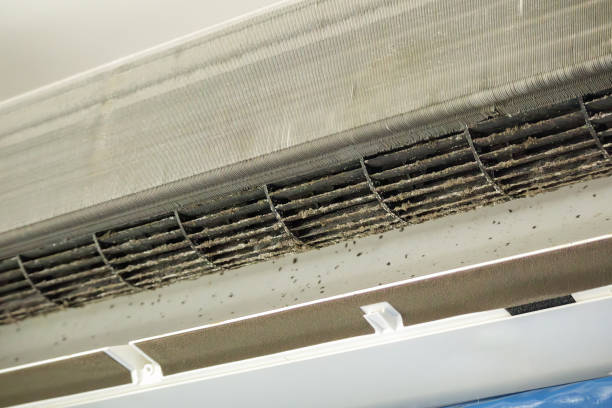 Best Air Duct Cleaning Near Me  in Moodus, CT